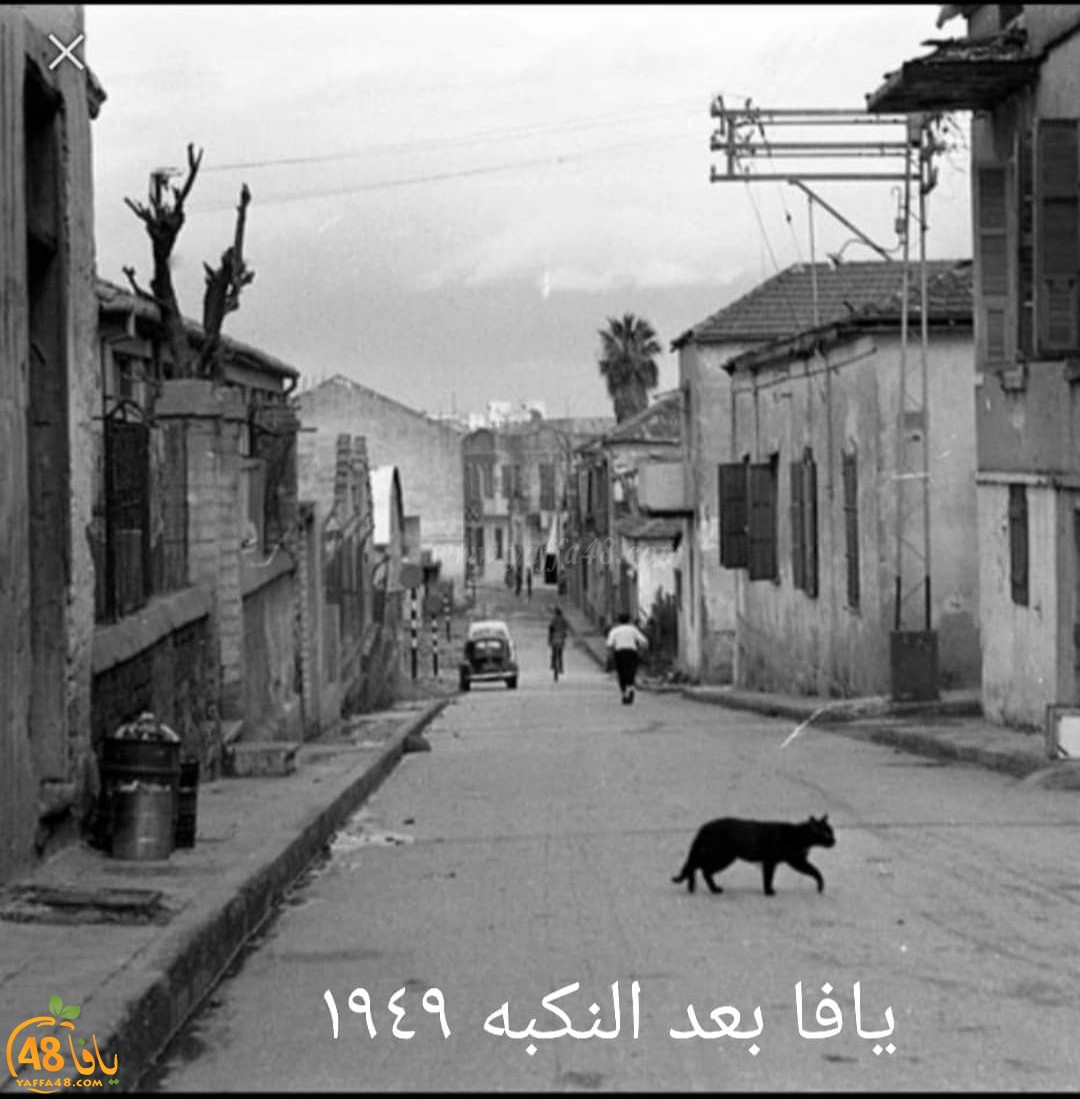 فقط عبر يافا 48 - صور نادرة جداً لمدينة يافا قبل عام النكبة 