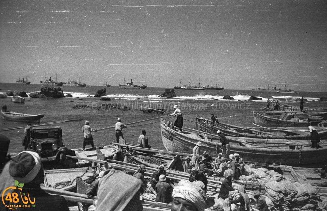 أيام نكبة| عمرها أكثر من 82 عاماً ... صور نادرة لميناء يافا التاريخي