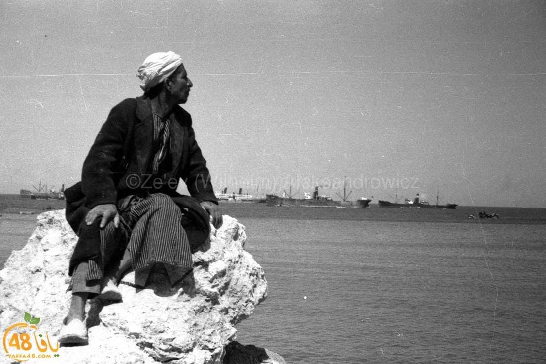 أيام نكبة| عمرها أكثر من 82 عاماً ... صور نادرة لميناء يافا التاريخي