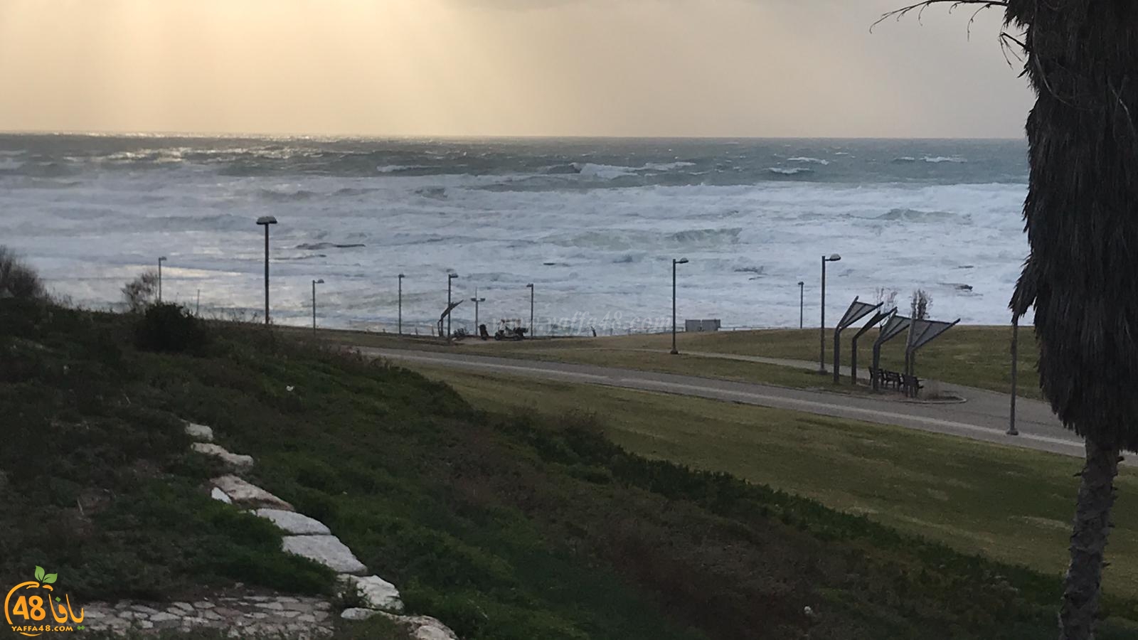 فيديو: عين على شواطئ يافا خلال العاصفة والرياح الشديدة 