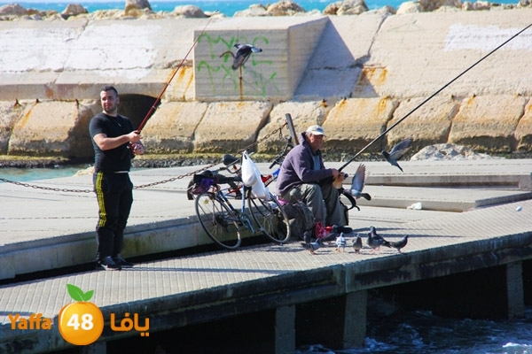  جولة في الماضي القريب .. صور لميناء يافا وشاطئها عام 2015 