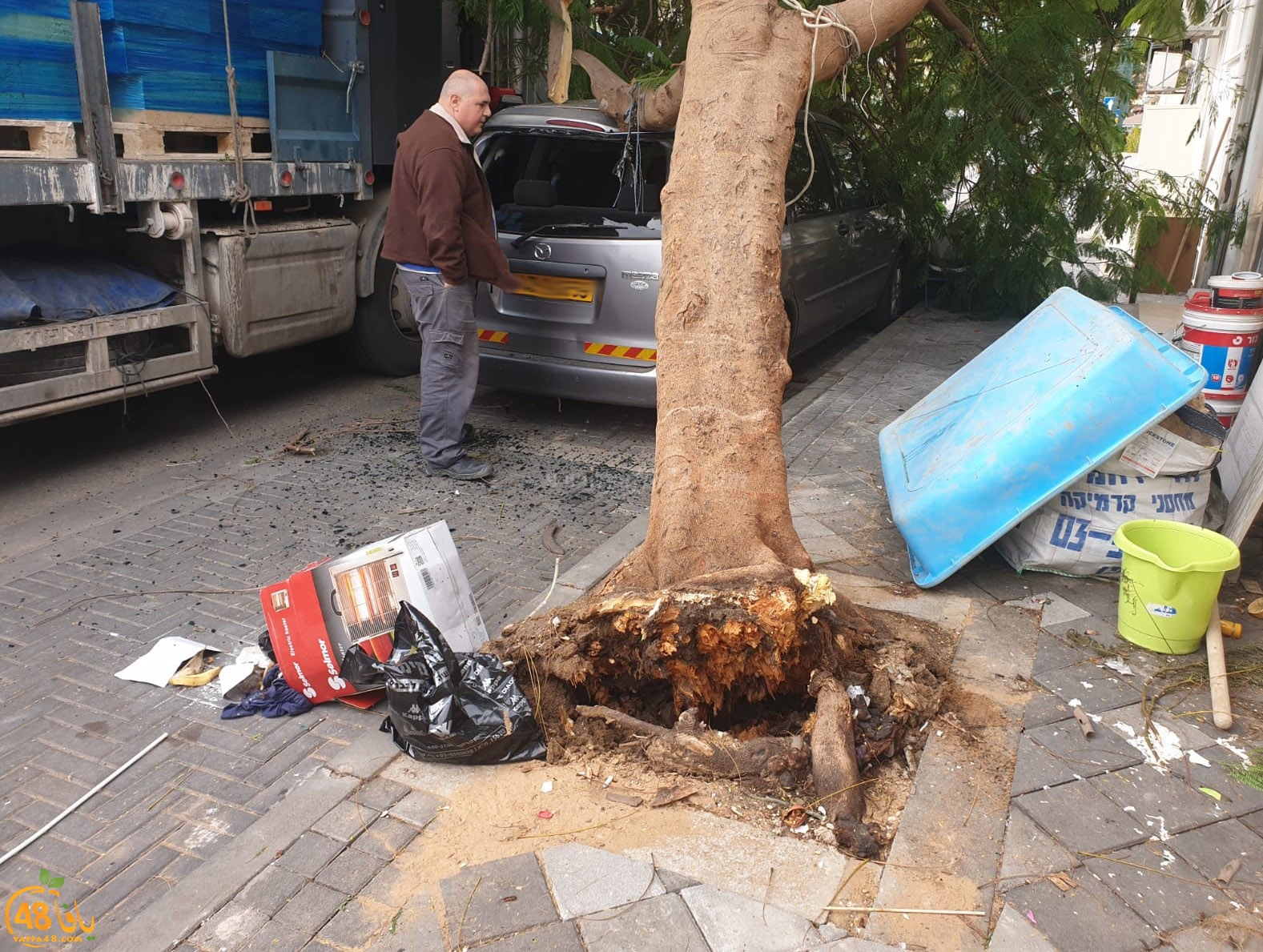  فيديو: لطف الله حال دون وقوع الكارثة اثر اصطدام شاحنة بشجرة ضخمة في يافا 