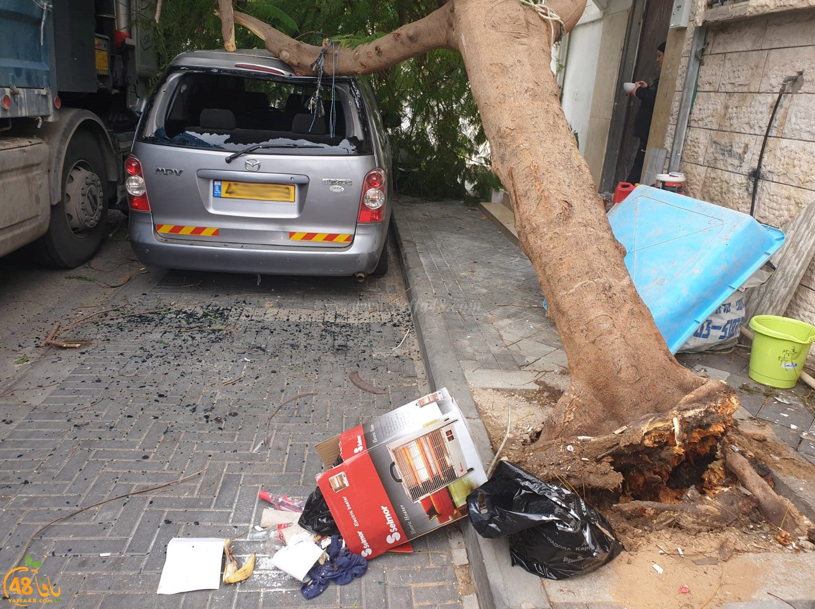  فيديو: لطف الله حال دون وقوع الكارثة اثر اصطدام شاحنة بشجرة ضخمة في يافا 