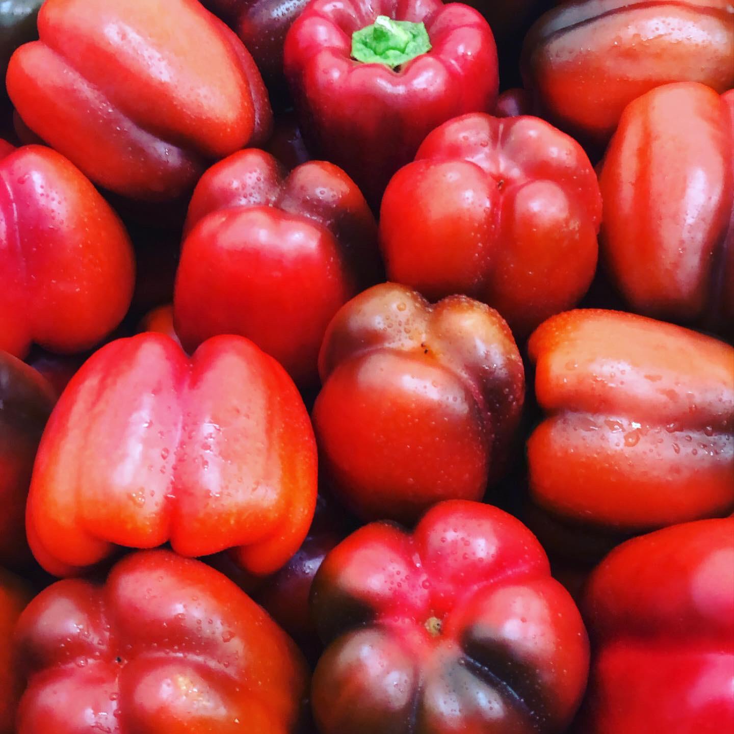 يافا: أسعار منافسة في سوق هيميت للخضار والفواكه الطازجة 
