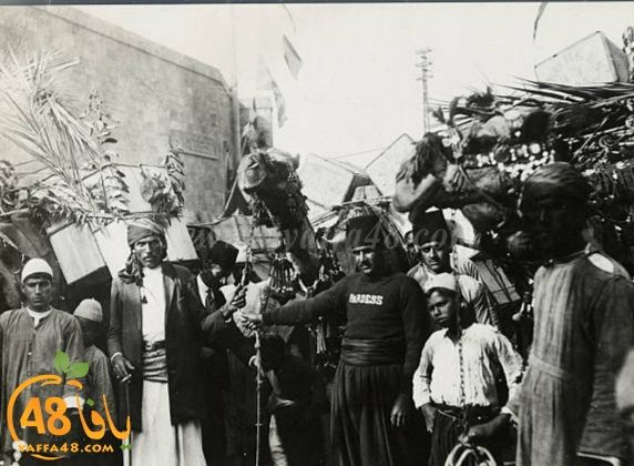 صور نادرة جداً لمدينة يافا قبل عام النكبة 1948 