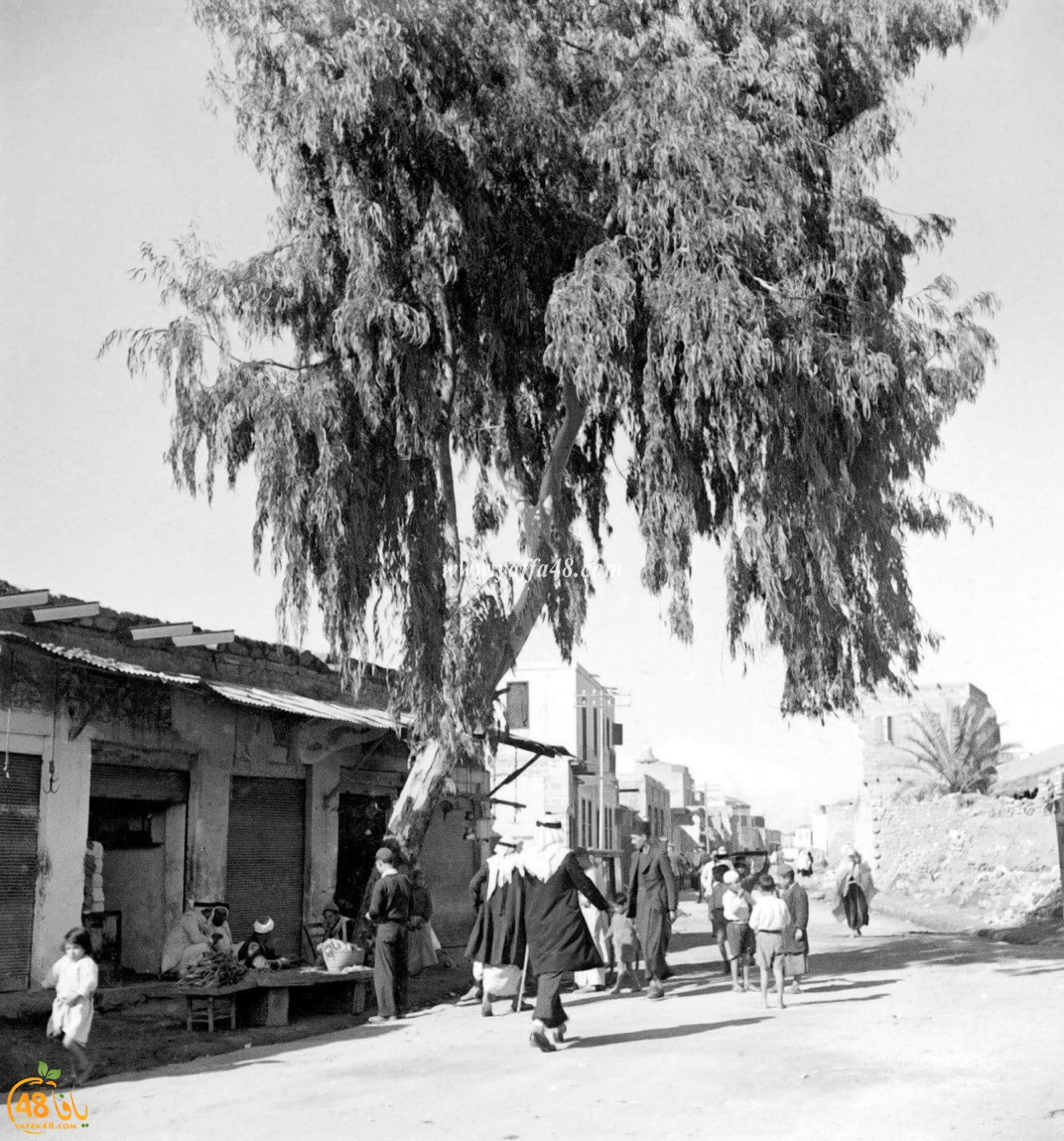 ننشر صورة ونشحذ ذاكرة - صور نادرة ليافا بين عامي 1920 و1940