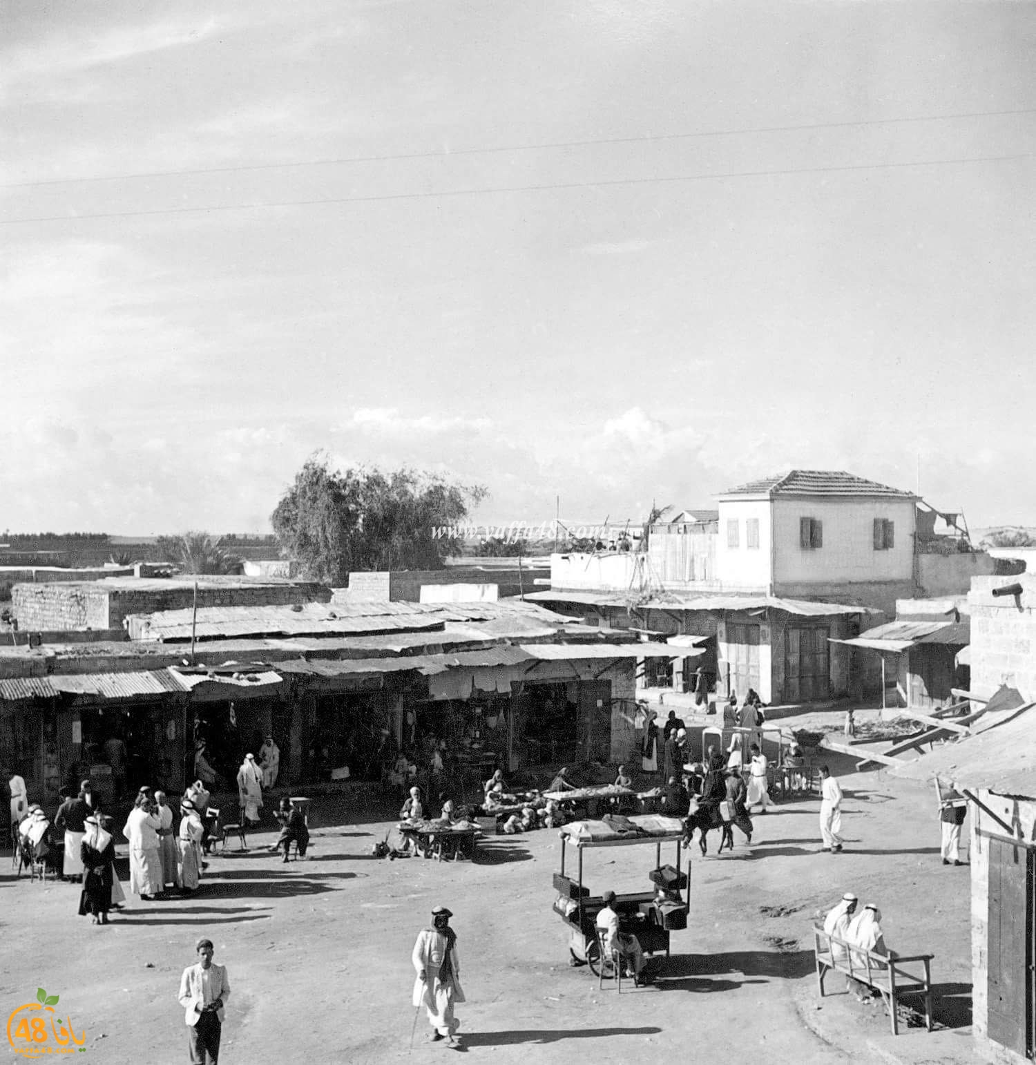 ننشر صورة ونشحذ ذاكرة - صور نادرة ليافا بين عامي 1920 و1940