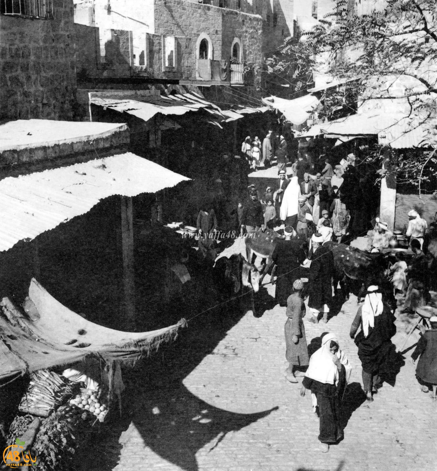 ننشر صورة ونشحذ ذاكرة - صور نادرة ليافا بين عامي 1920 و1940