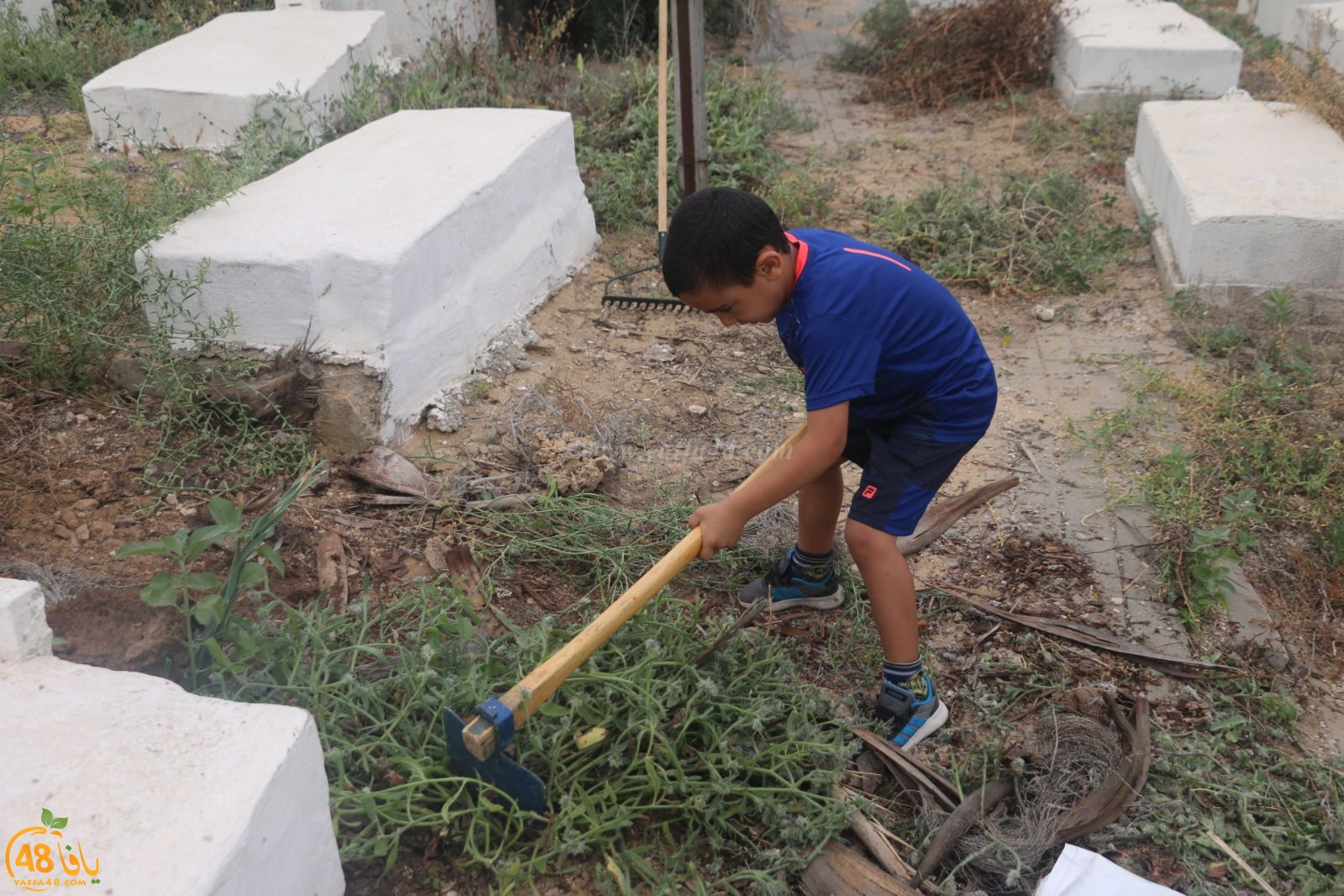 بالفيديو: لجنة إكرام الميت تُنظم حملة لتنظيف مقبرة الكازاخانة بمدينة يافا 