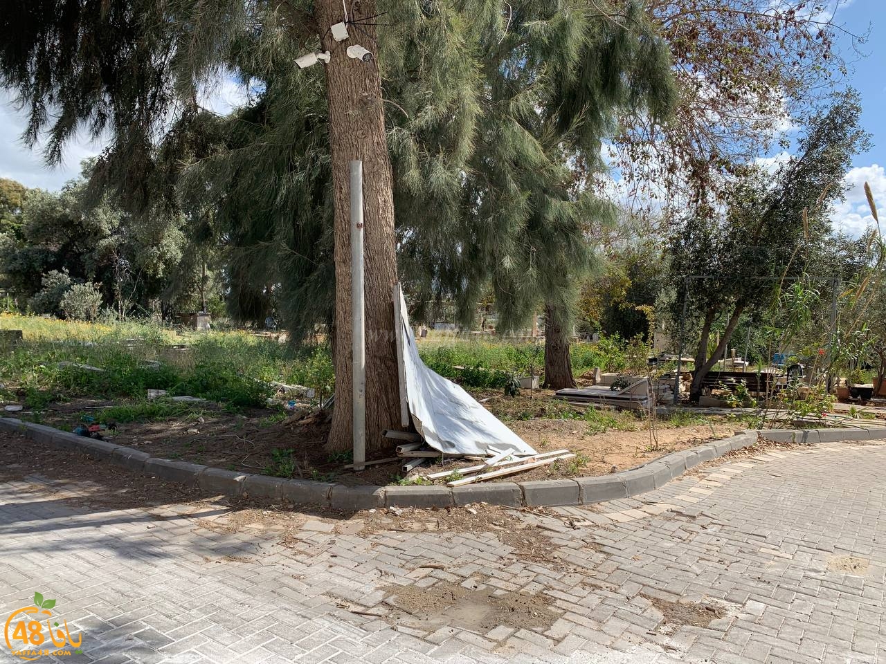 يافا: مقبرة طاسو يعتليها الاهمال ودعوات لتنظيفها وصيانتها 