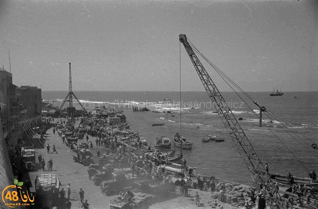 يعود تاريخها لسنوات الثلاثينات .. صور نادرة جداً لميناء يافا 