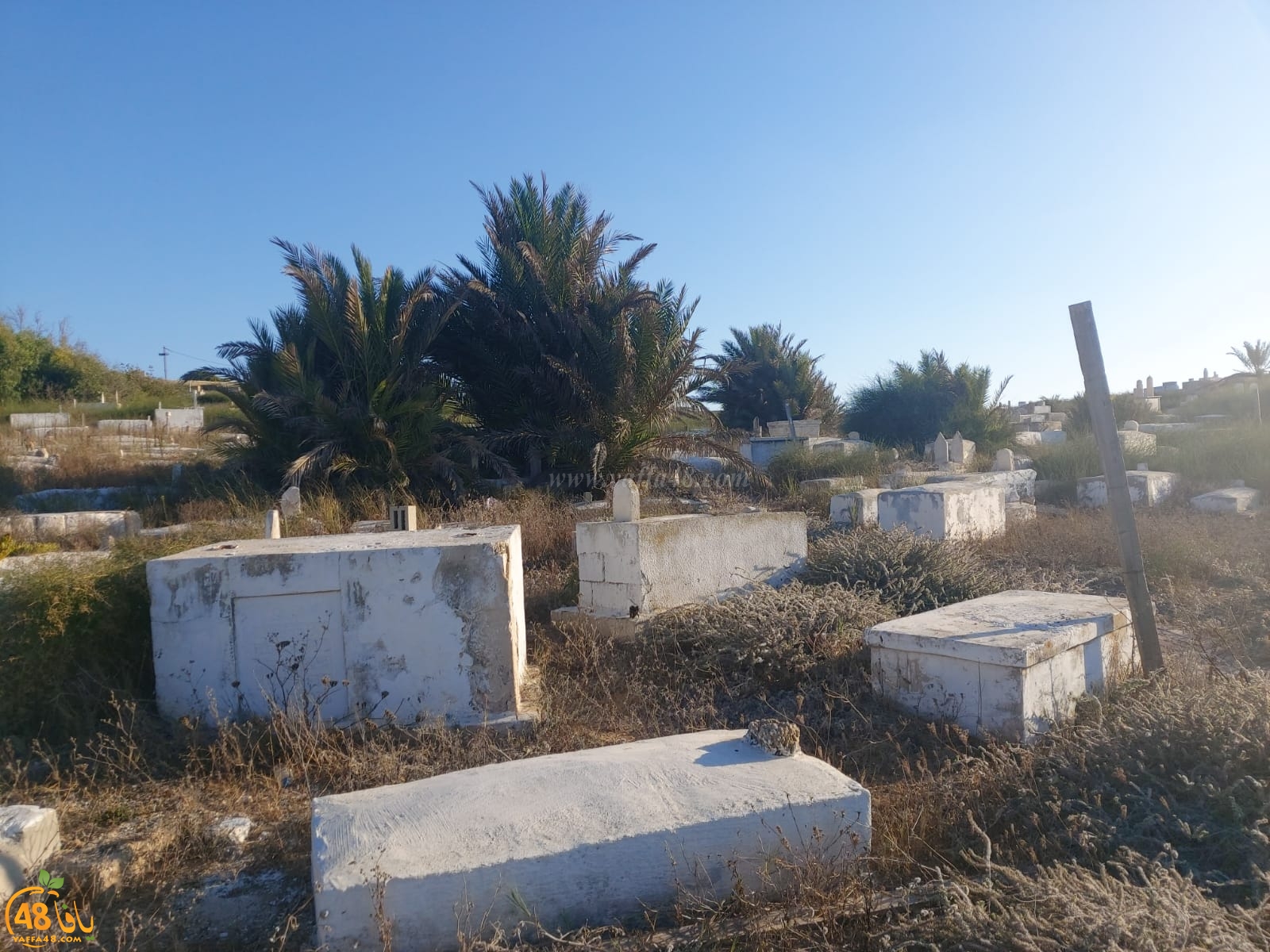غداً: معسكر عمل لصيانة وتنظيف مقبرة الكازاخانة في مدينة يافا 