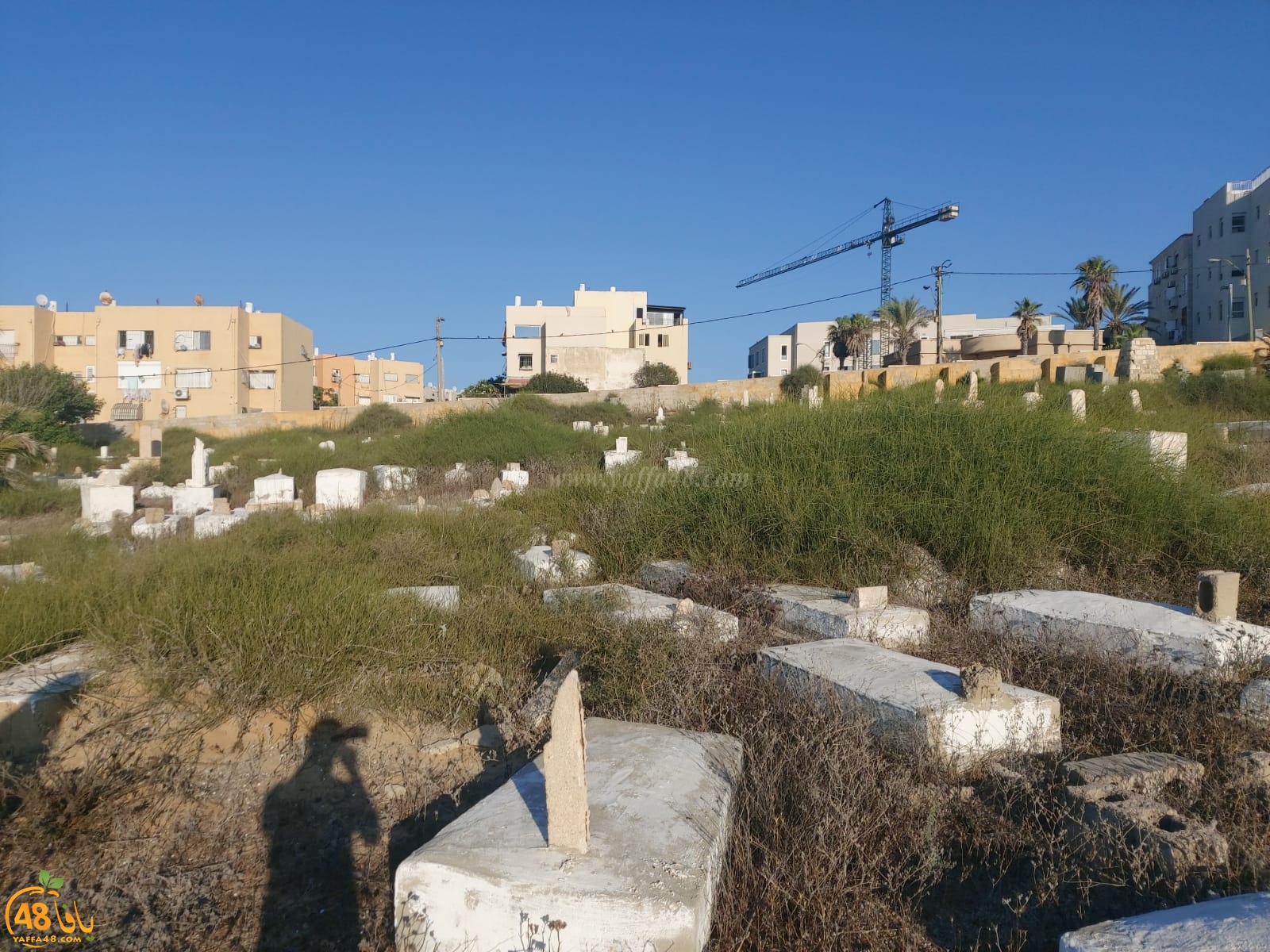 غداً: معسكر عمل لصيانة وتنظيف مقبرة الكازاخانة في مدينة يافا 