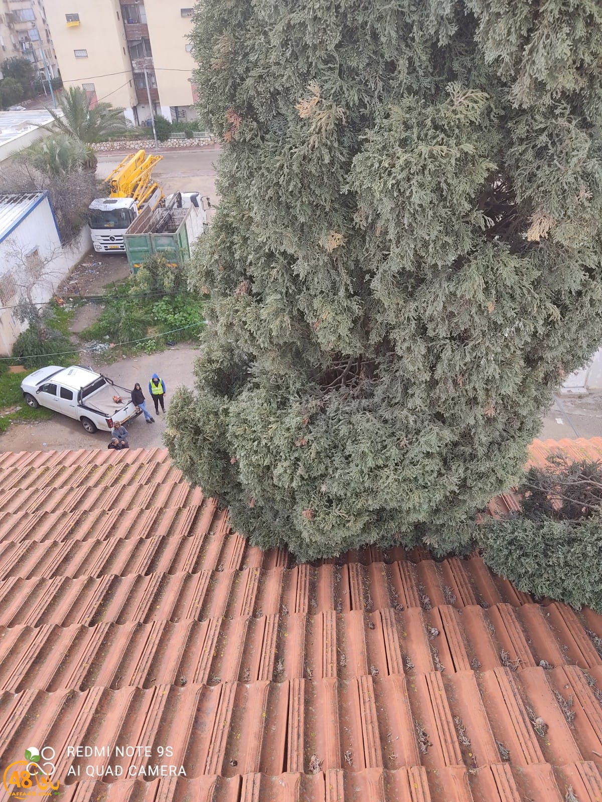 اللد: سقوط شجرة ضخمة على منزل اثر الرياح العاصفة 