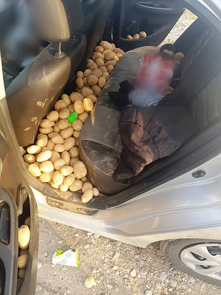 صور : مئات الكيلو غرامات من البطاطا المسروقة بسيارة في النقب 
