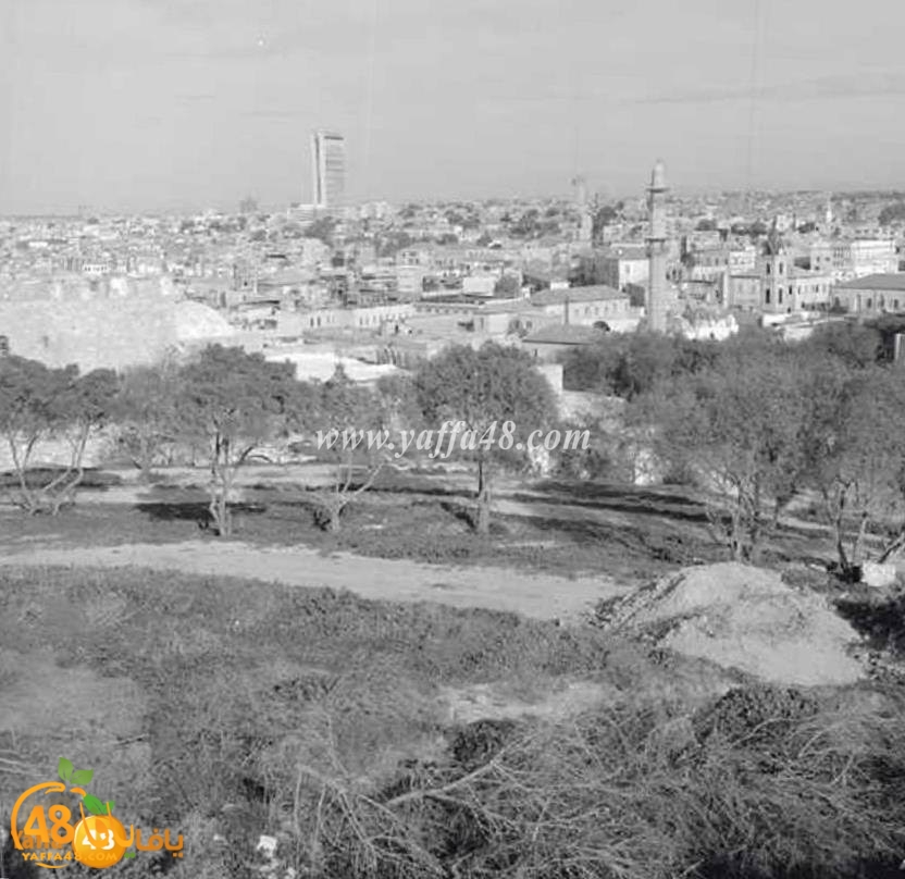 في مثل هذا اليوم - بداية الهجوم على حي المنشية بيافا عام 1948 