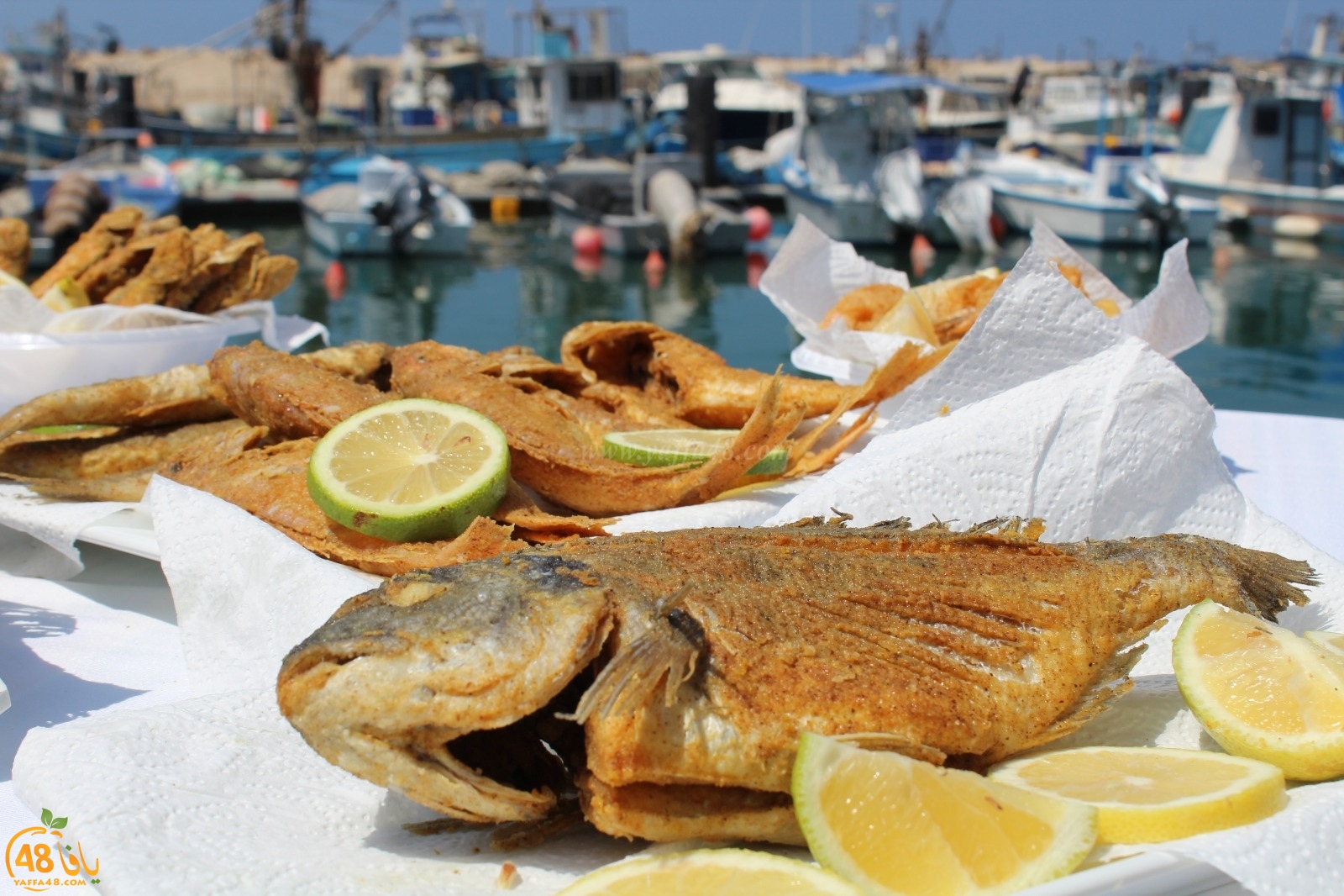   يافا: انتقال مطعم fish & chips للأسماك الطازجة الى مخزن 1 بميناء يافا 