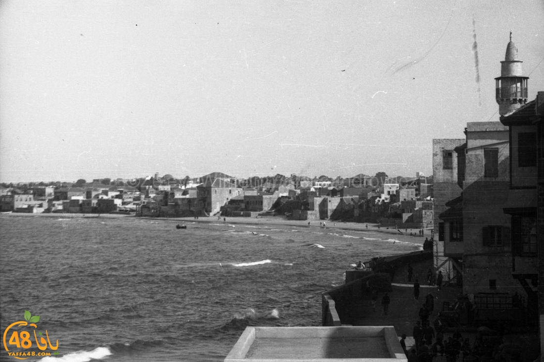 صور نادرة جداً لميناء يافا يعود تاريخها لسنوات الثلاثينات 