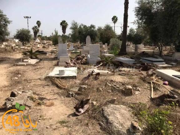  اللد: مبادرة شبابية لتنظيف وصيانة المقبرة الاسلامية بالمدينة 