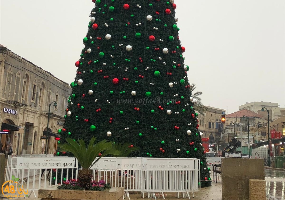 صور: وضع اللمسات الأخيرة على شجرة عيد الميلاد بيافا