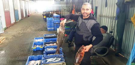 صور: أزهى فترات الصيد.. بحر يافا يمنح الصيّادين غلّة وفيرة من السمك