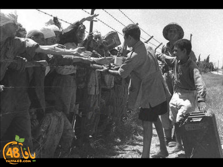  صور توثق هجرة أهالي اللد والرملة عام النكبة 1948 