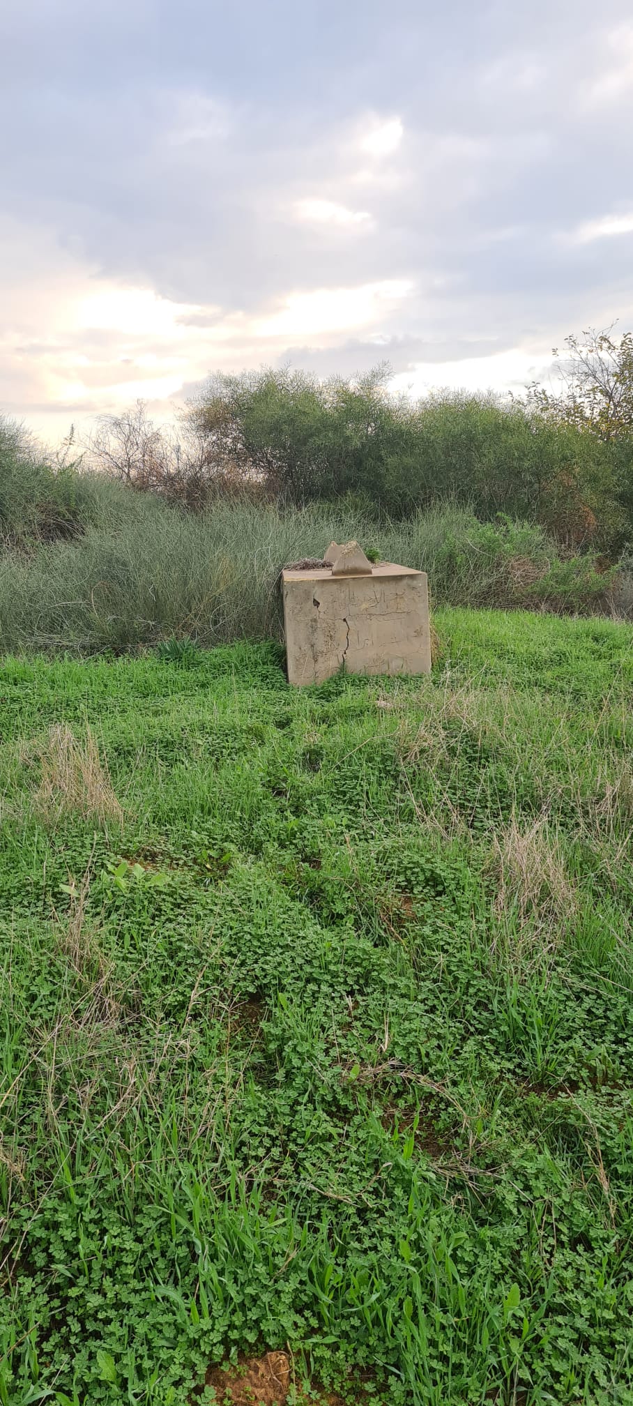 بلدية بئر يعكوف تنبش القبور في مقبرة صرفند الخراب قضاء الرملة