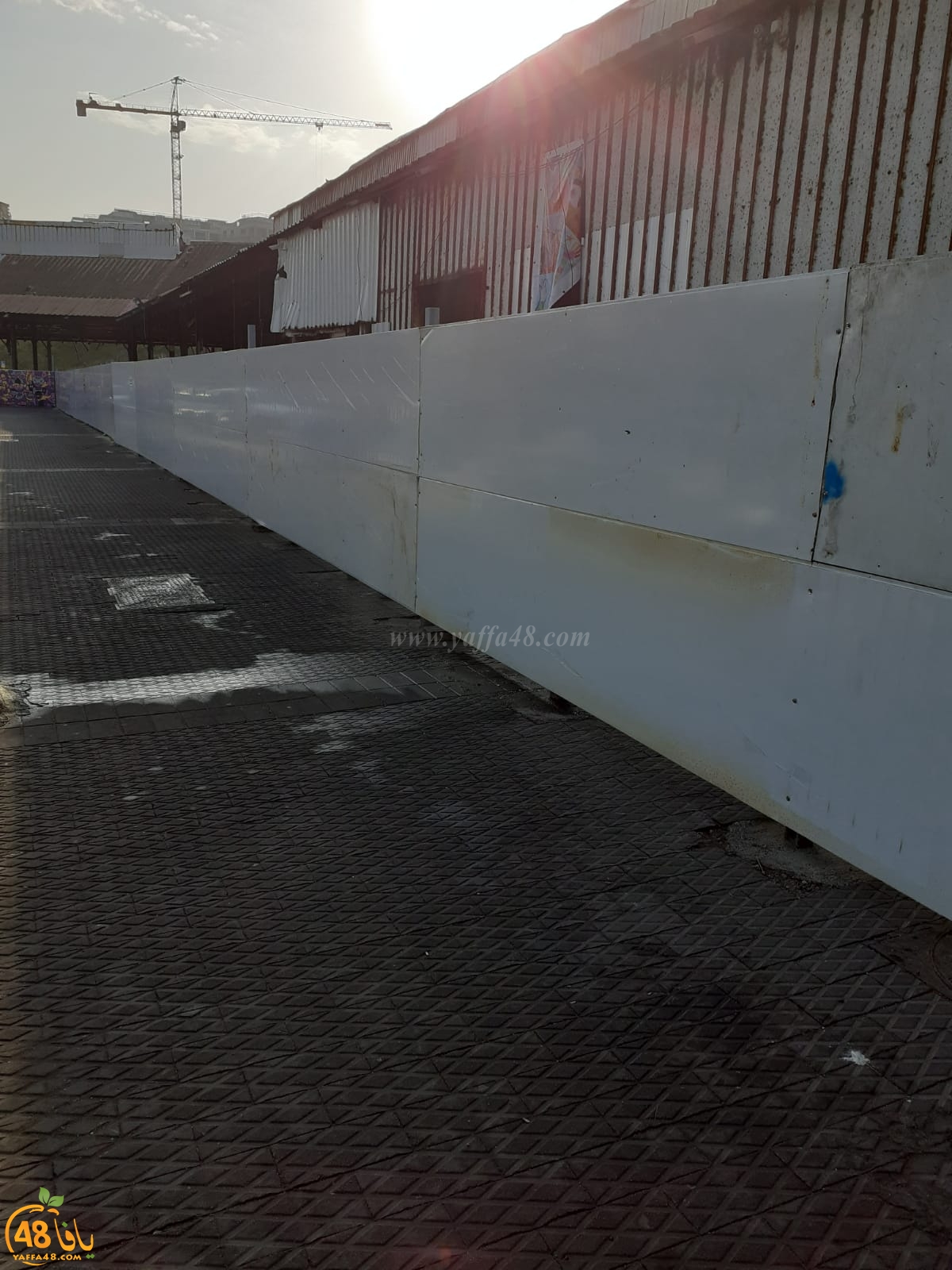 مبادرة صيادو يافا لطلاب المدارس للرسم على جدران مرفأ الميناء