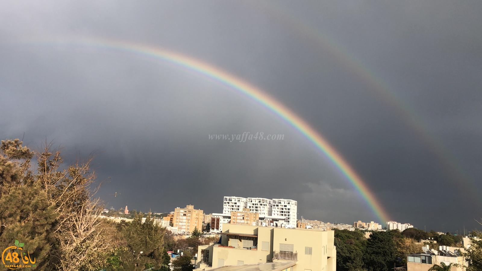  فيديو: أجواء ماطرة في يافا وقوس قزح يُزيّن سماء المدينة