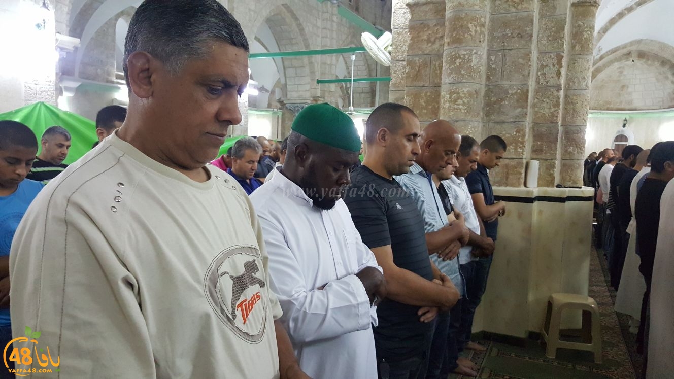  بالفيديو: شعائر صلاتي العشاء والتراويح في المسجد العمري الكبير بالرملة 