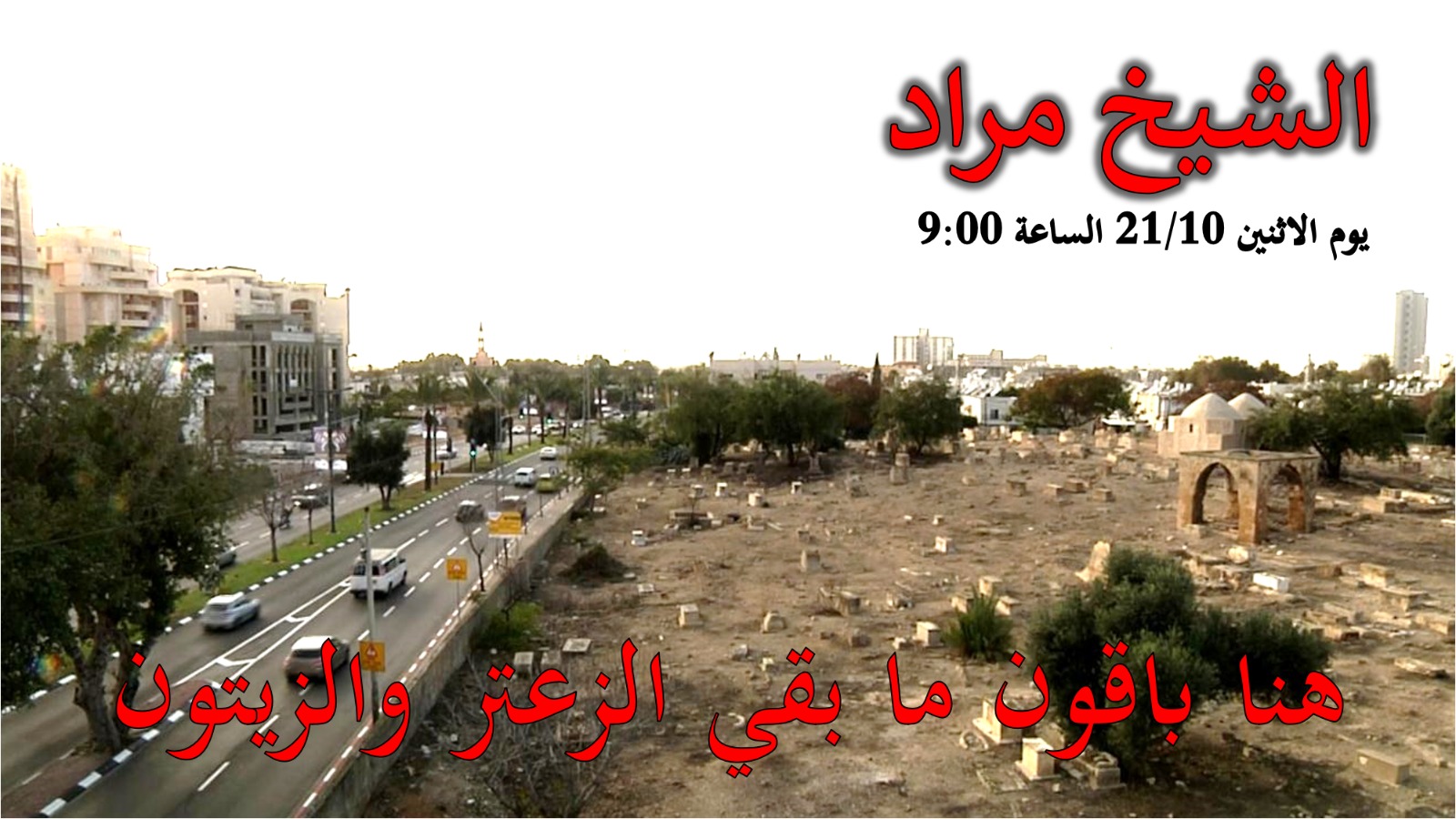 غداً: دعوة الأهالي للمشاركة في حملة تنظيف مقبرة الشيخ مراد بيافا