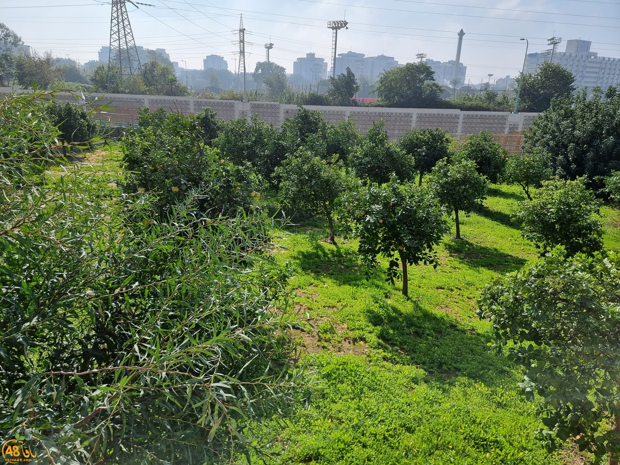 صور: أملاكنا في أبو كبير .. منهوبة