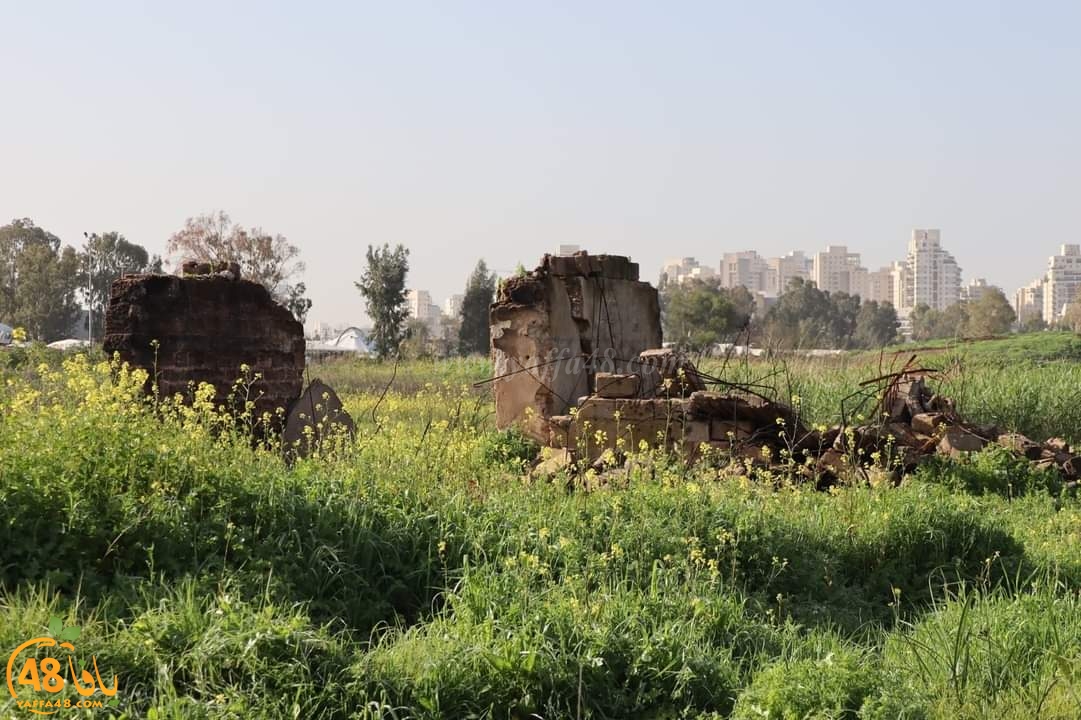 جرف مقبرة عرب السوالمة قضاء يافا وطمس أساساتها 