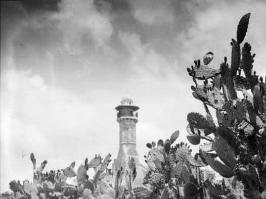  أيام نكبة| صور تاريخية نادرة لمدينة اللد عام 1923 