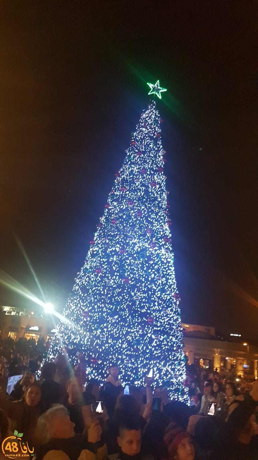 بالفيديو: إضاءة شجرة عيد الميلاد المجيد في دوار الساعة بيافا