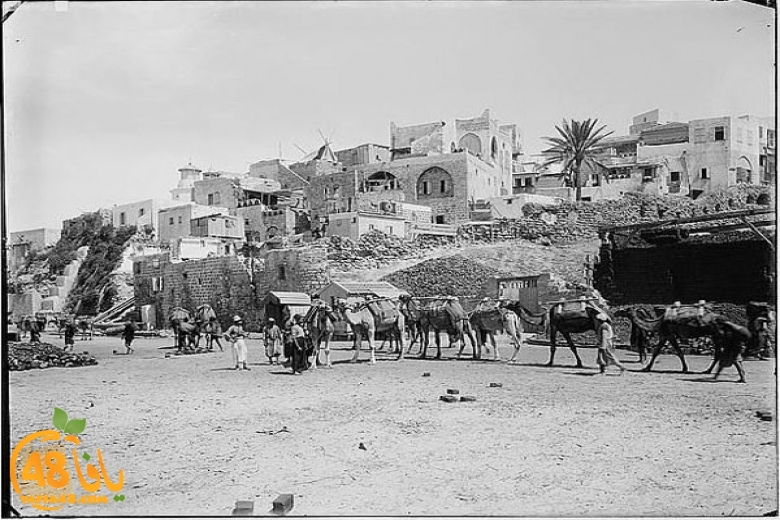 أيام نكبة| اليوم يُصادف مرور 26286 يوماً على سقوط مدينة يافا عام 1948 