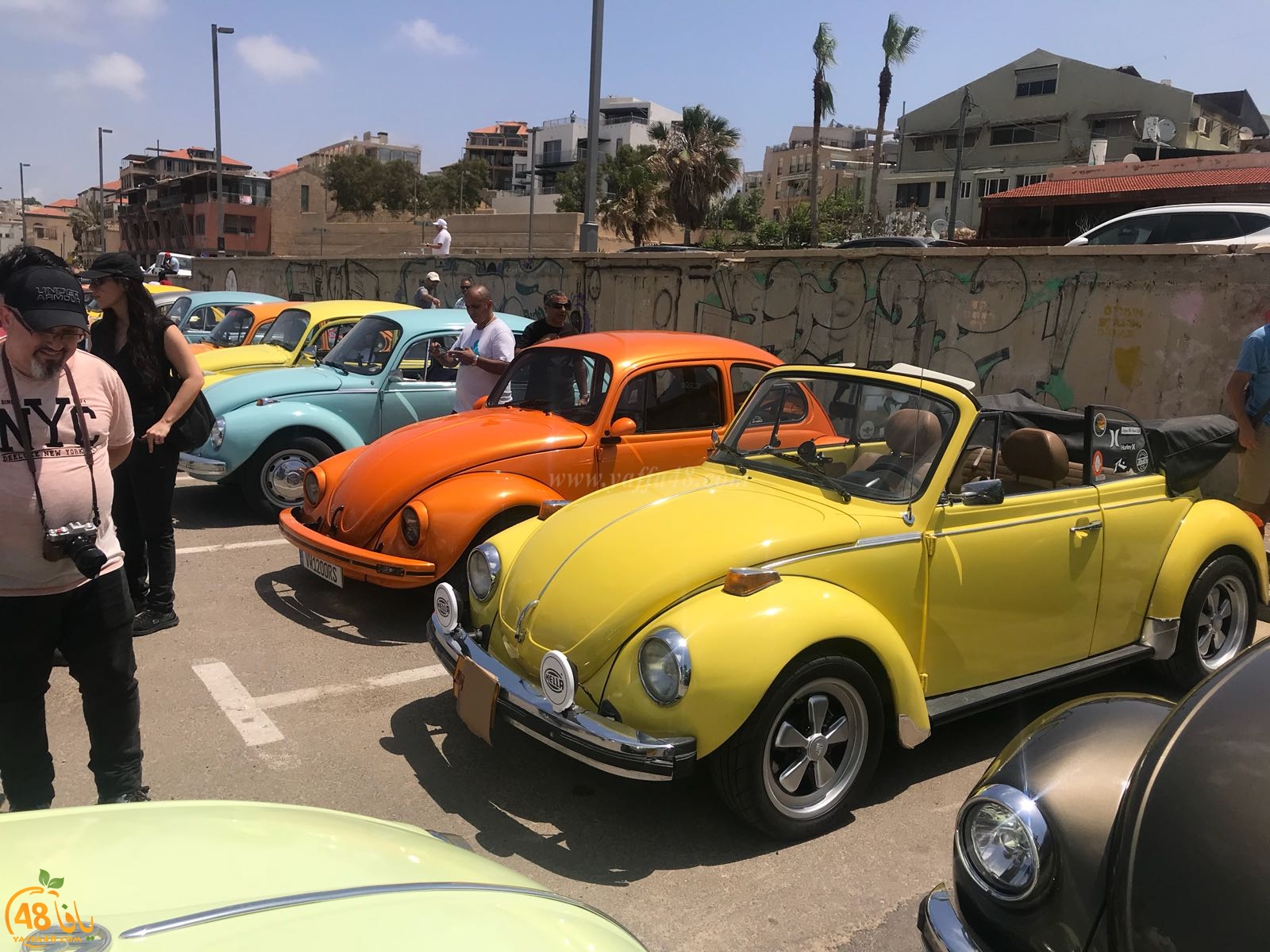  بالفيديو: جنون السيارات - معرض للسيارات الكلاسيكية في ميناء يافا 