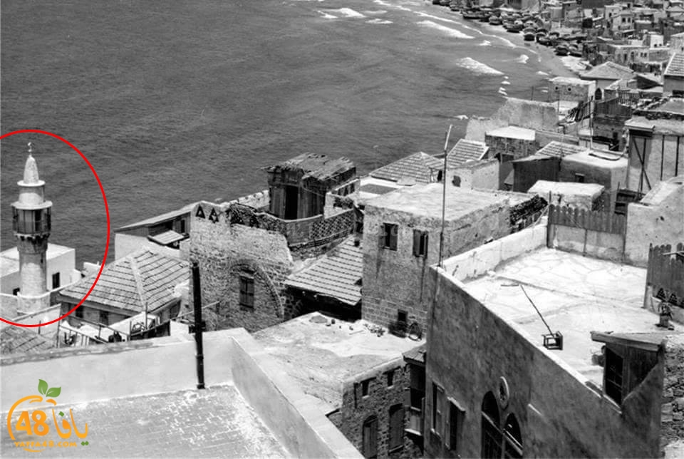 ننشر صورة ونشحذ ذاكرة - صور نادرة لمسجد البحر بيافا 