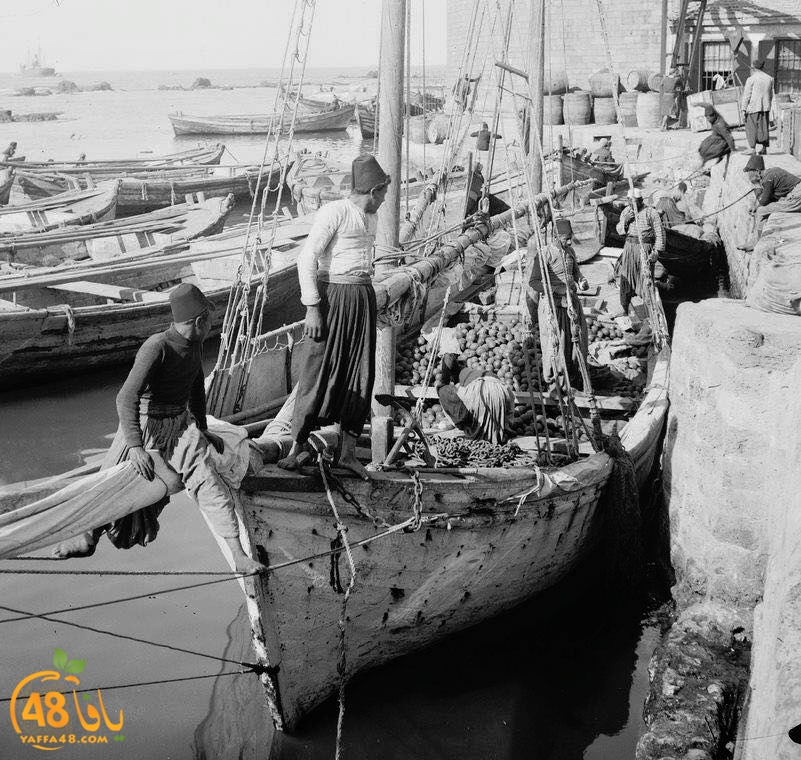 مشهد من الماضي - حياة الصيادين وعملهم في ميناء يافا قبل عام النكبة 1948