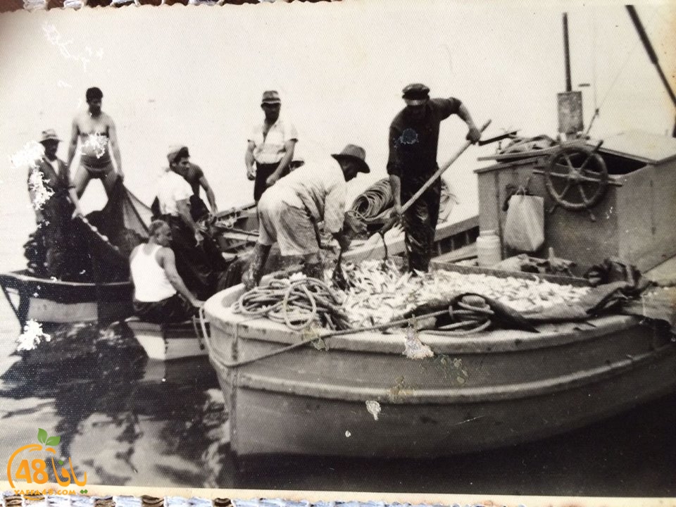 مشهد من الماضي - حياة الصيادين وعملهم في ميناء يافا قبل عام النكبة 1948