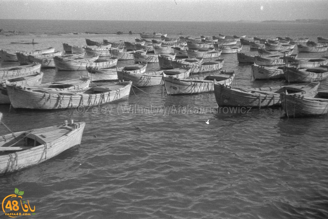 تُنشر للمرة الأولى - صور نادرة جداً لميناء يافا يعود تاريخها لسنوات الثلاثينات 