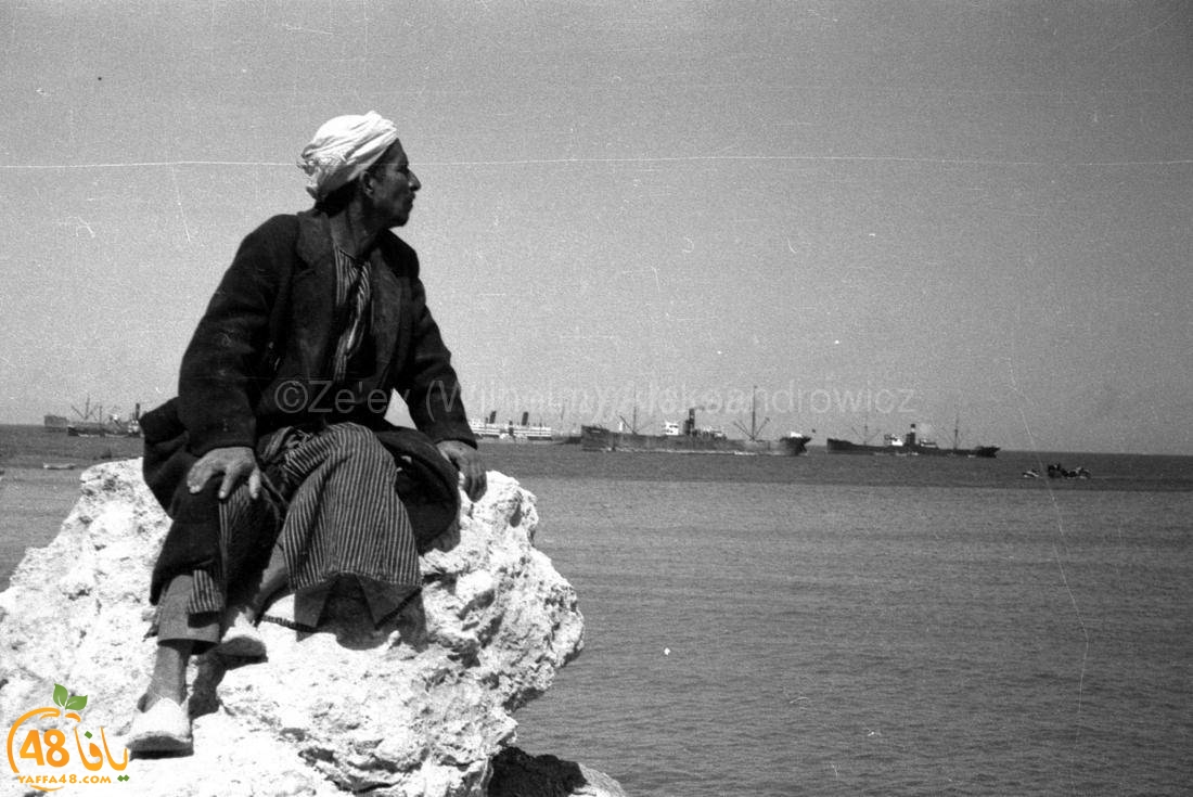 تُنشر للمرة الأولى - صور نادرة جداً لميناء يافا يعود تاريخها لسنوات الثلاثينات 