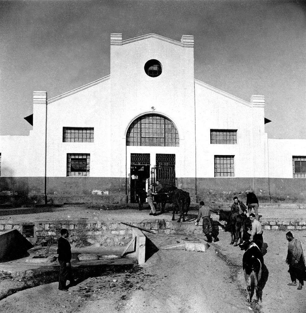 صور نادرة لمذبح بلدية يافا يعود تاريخها لعام 1931 