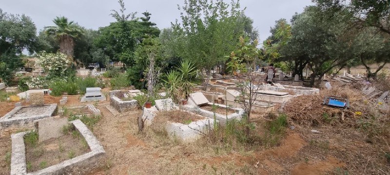  يافا: لجنة اكرام الميت تُنظم معسكراً لتنظيف مقبرة طاسو  