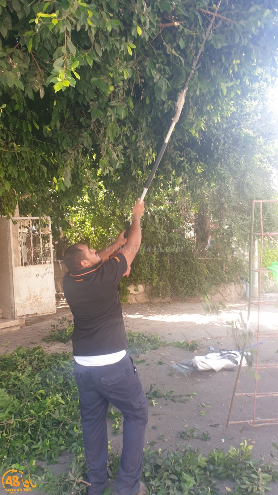 حملة لتنظيف حي الواحة الخضراء في مدينة اللد بمبادرة أعضاء البلدية العرب 