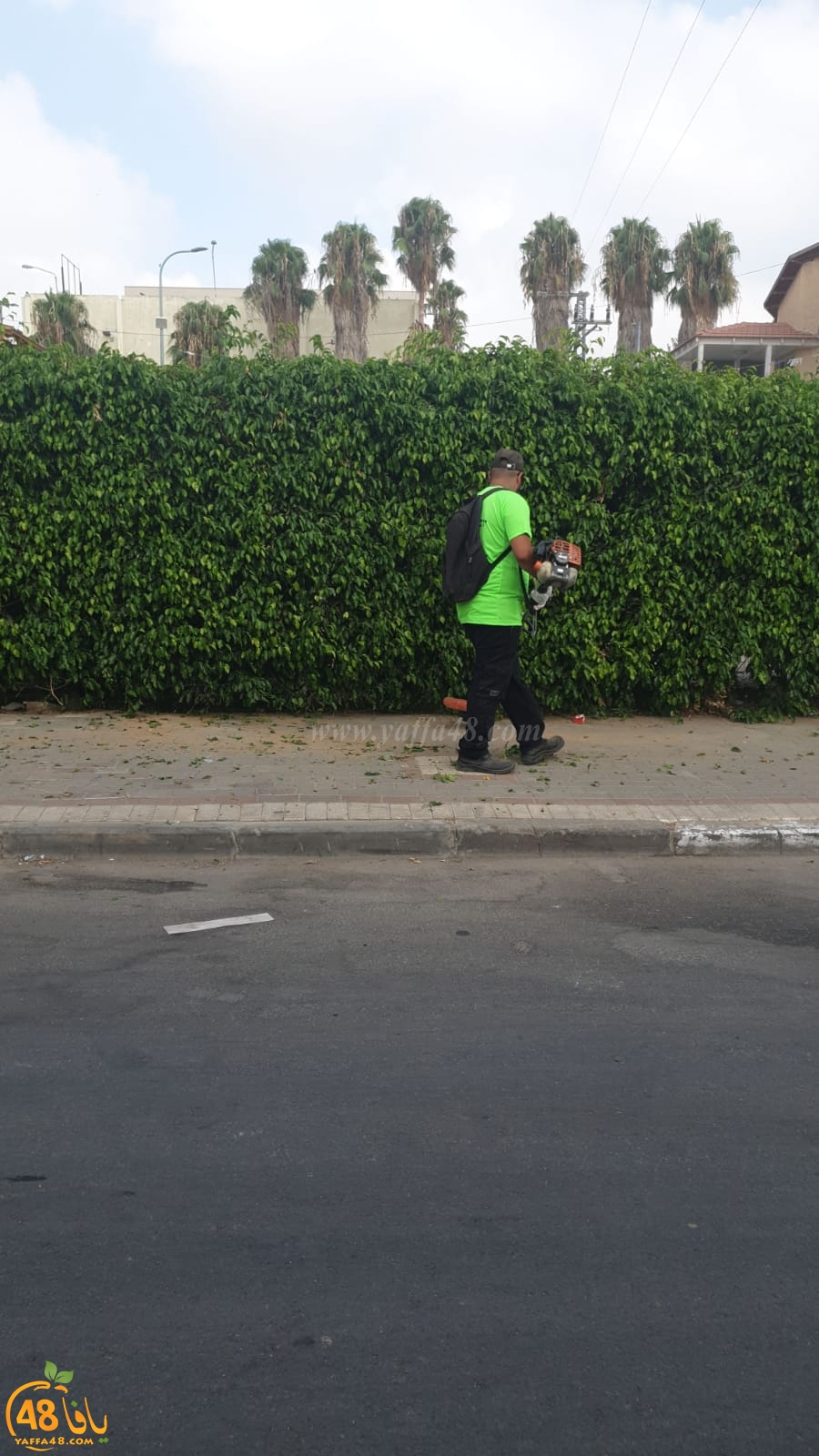 حملة لتنظيف حي الواحة الخضراء في مدينة اللد بمبادرة أعضاء البلدية العرب 