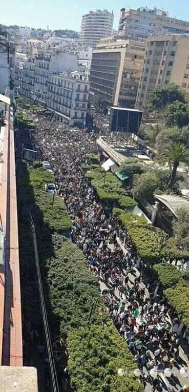 الجزائر تشهد أضخم موجة تظاهرات ضد بقاء بوتفليقة في السلطة