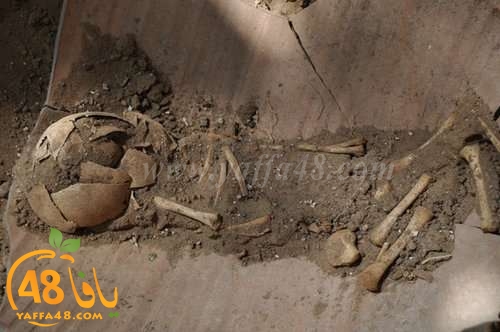  العثور على جرار فخارية يعود تاريخها لأكثر من 100 عام في مقبرة الشيخ مراد