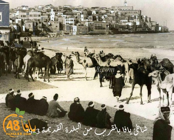  أيام نكبة| باقة من الصور النادرة لمدينة يافا قبل عام 1948 