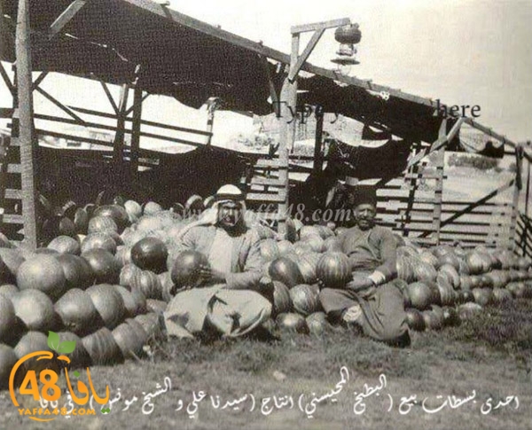  أيام نكبة| باقة من الصور النادرة لمدينة يافا قبل عام 1948 